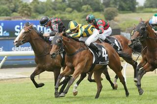 Swissta (NZ) takes the Great Northern Guineas. Photo: Trish Dunell